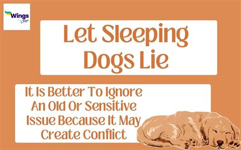 Dear Abby: Let sleeping dogs lie, but not in her bed